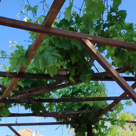 Le Macine 1868 파세코