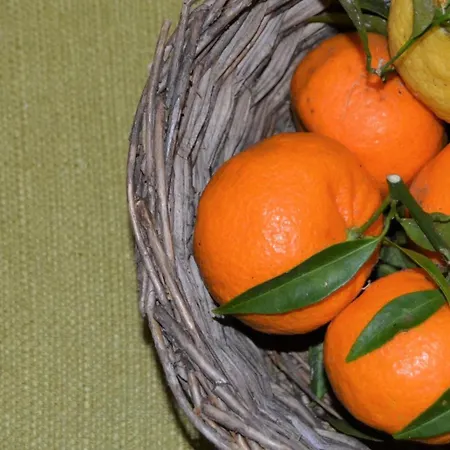 Le Macine 1868 4* Paceco