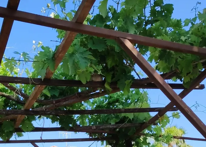 Le Macine 1868 帕瑟科