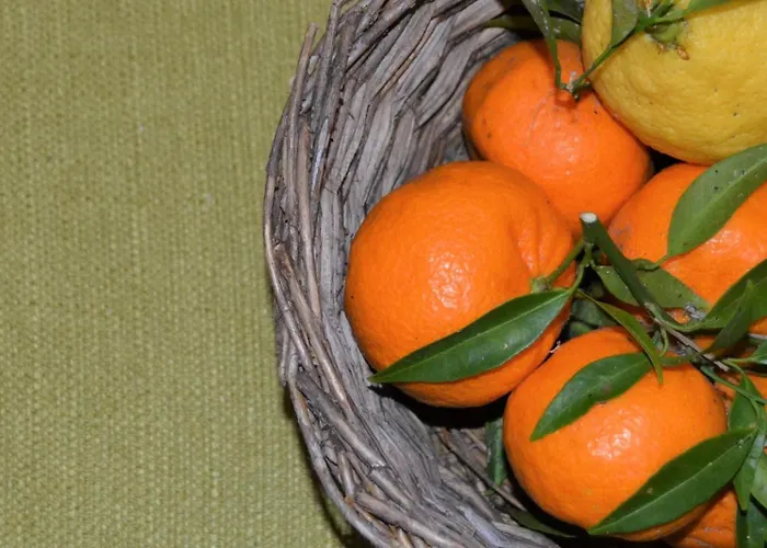 Le Macine 1868 4* 帕瑟科