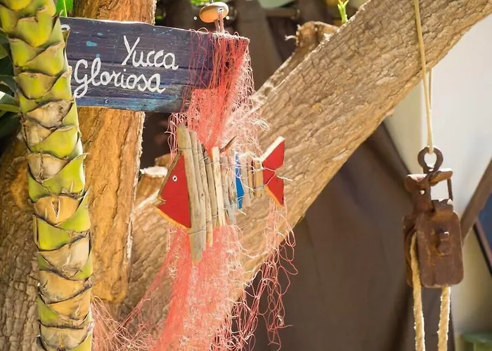 住宿加早餐酒店 Le Macine 1868